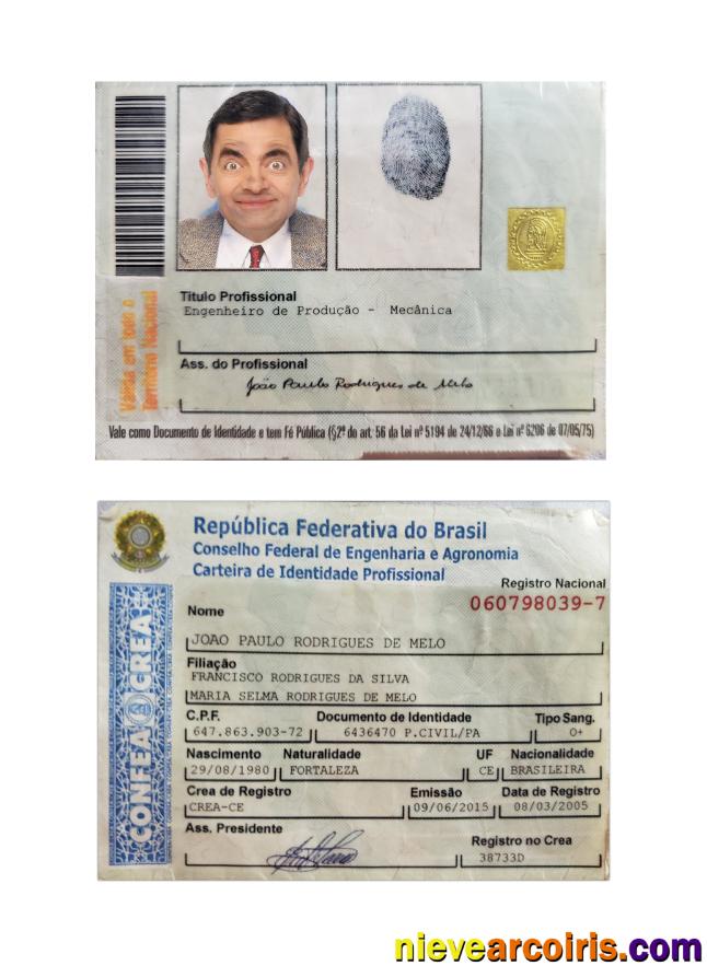 Brazil professional identity card